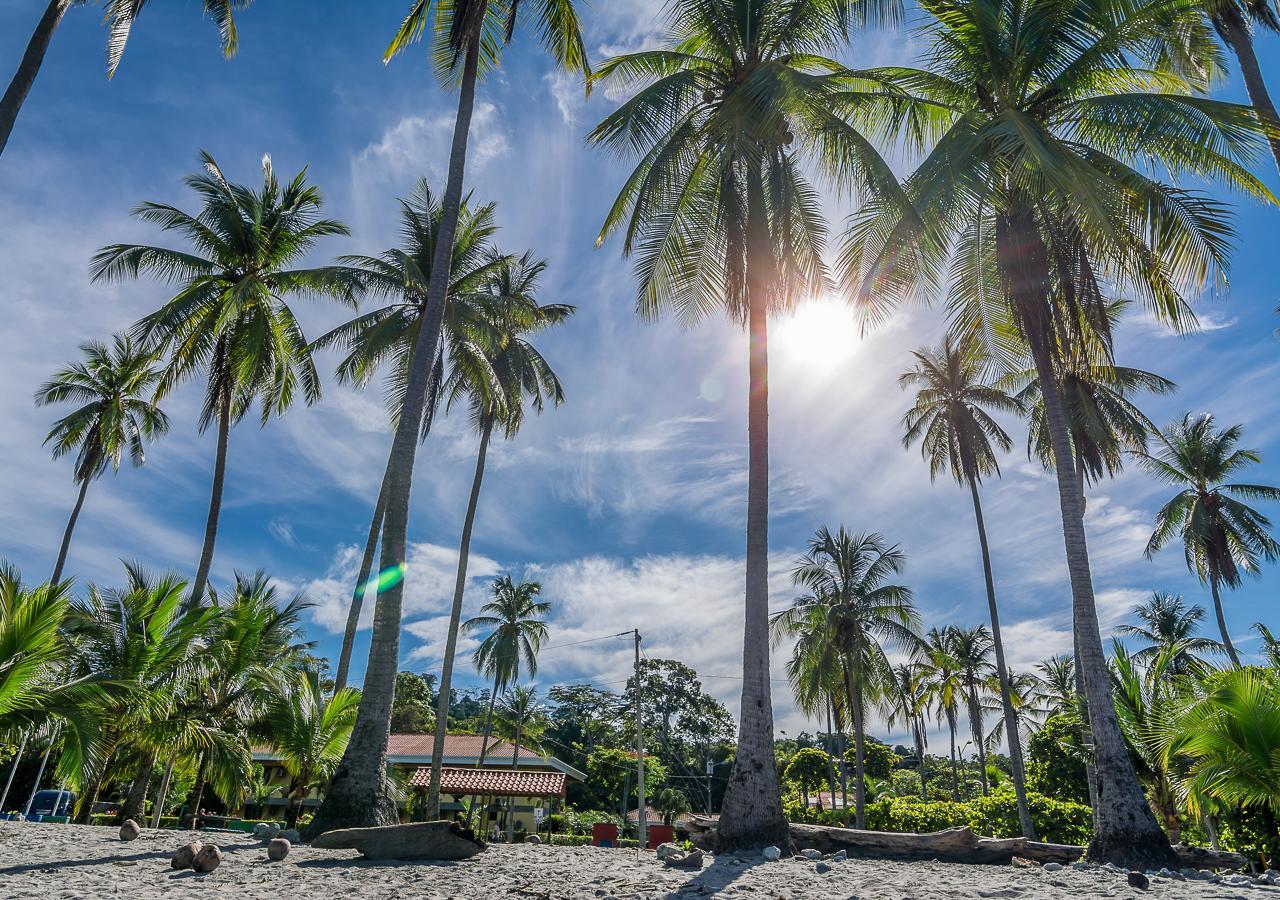 Hotel Manuel Antonio Exteriér fotografie