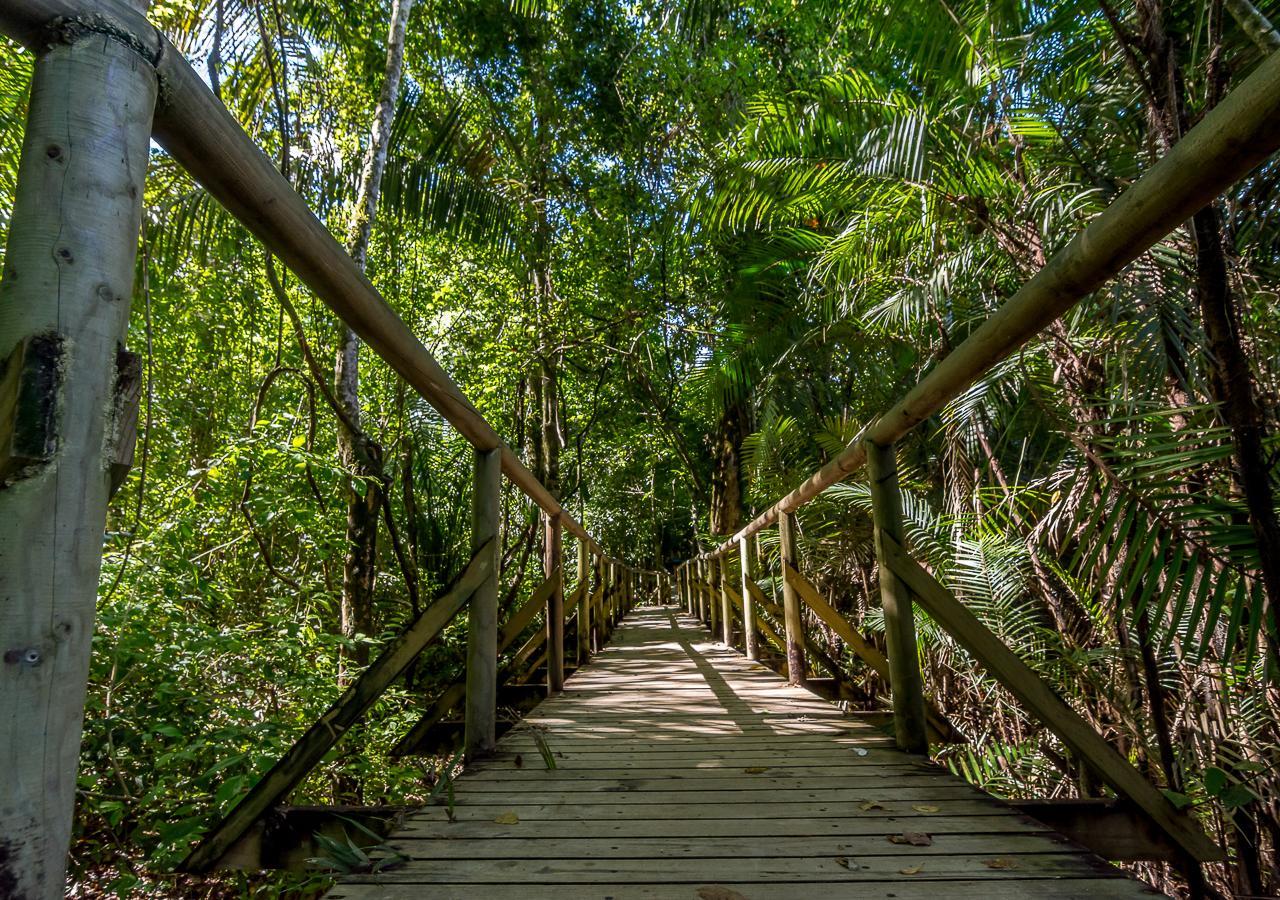 Hotel Manuel Antonio Exteriér fotografie